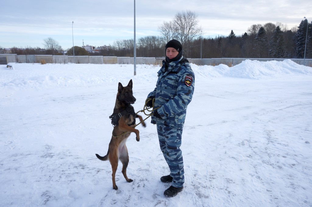 В кинологической центре МВД Карелии. Фото: ИА "Республика"/ Максим Смирнов.